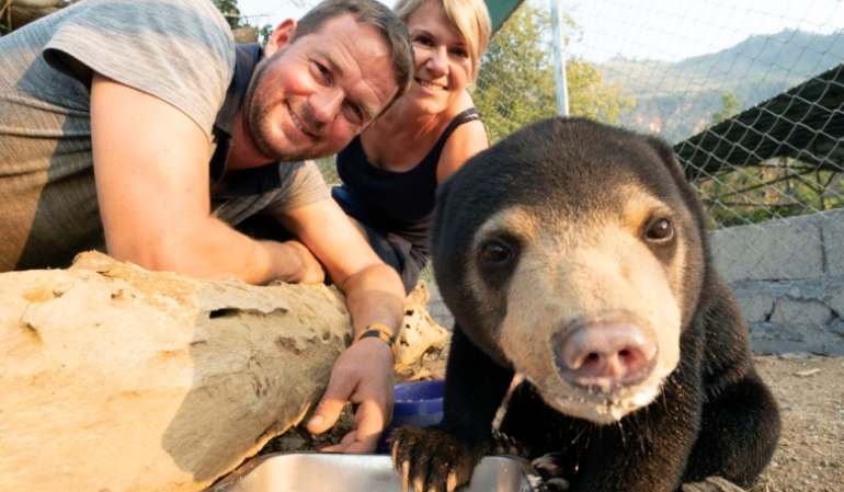 Sun Bear